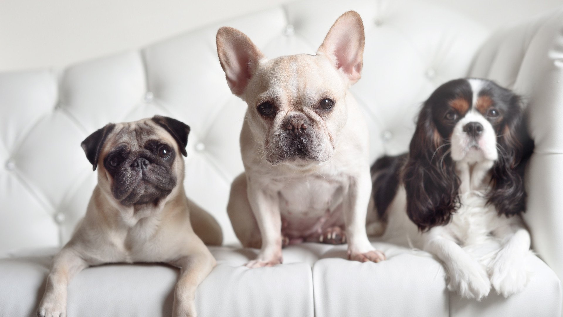 九游下载官网-凯尔特人完封快船，抢七大战中塔图姆锁死对手，凯尔特人taco