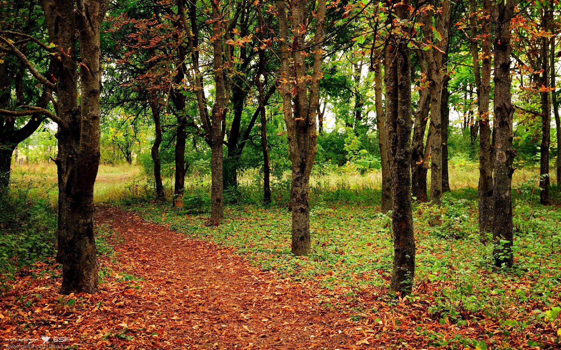 电竞城市促进高校电竞人才培养,高校电竞产业链