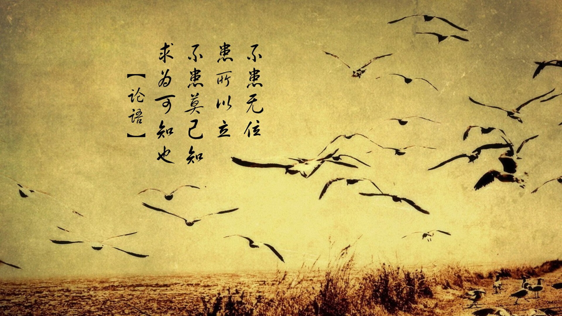 日本足球,勇敢追梦!