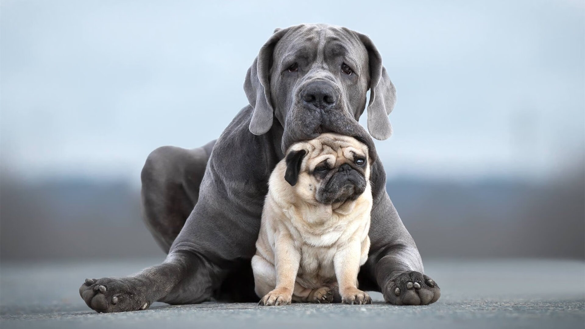 NBA球队进攻效率分析,nba球队进攻效率分析图