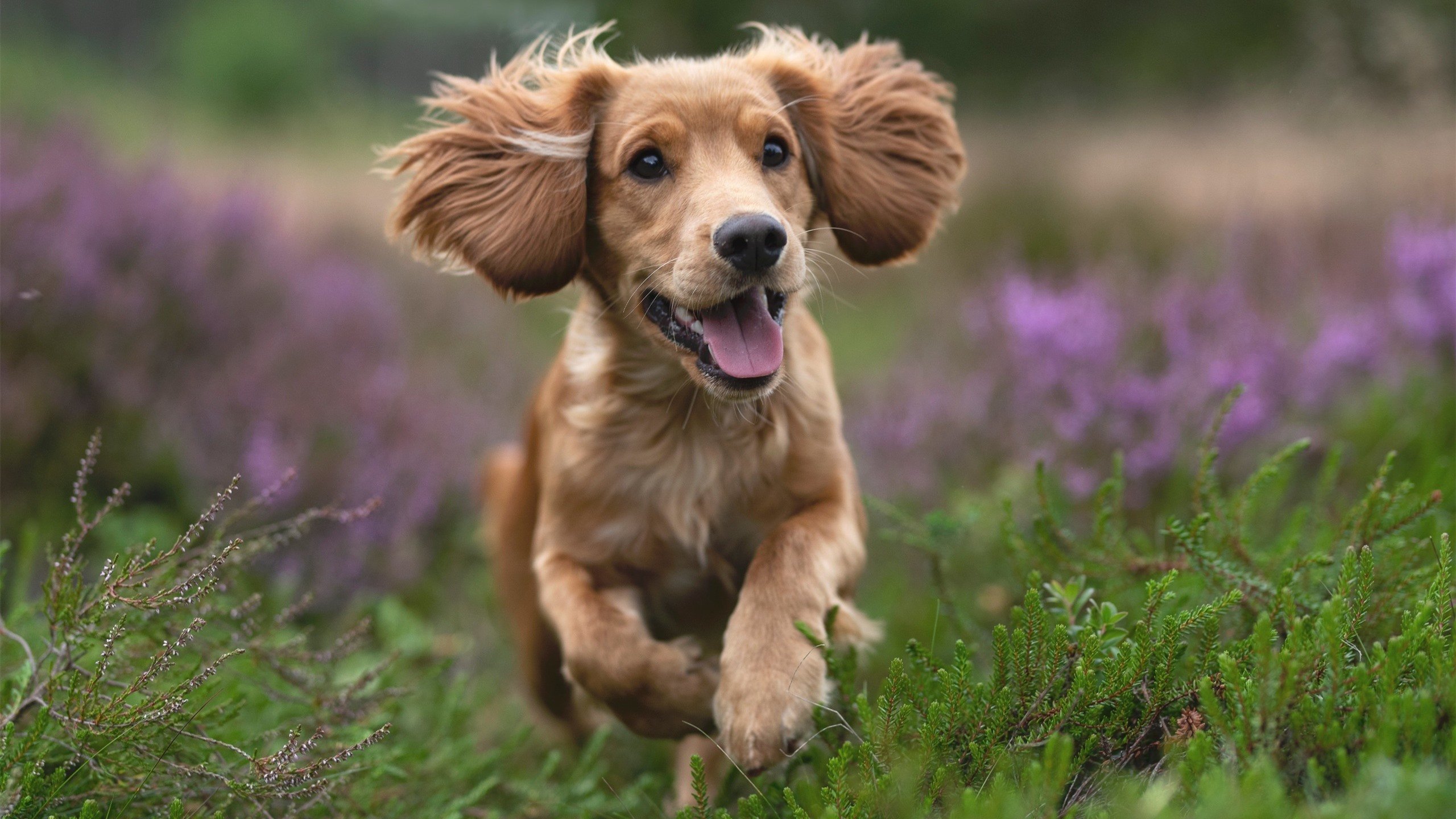 JIU YOU GAME-训练后恢复环节逐渐标准化数据分析辅助制定恢复周期，恢复训练怎么安排